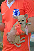 Holland football team supporter with dog and orange lion